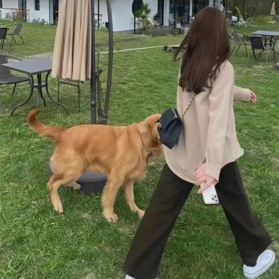在池中